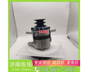 安徽4280005645起动机20409228发电机 斗山 DB/DL WP4.6 锡柴 CA4DF 斗山｜DX215｜DB58 卡特 336D2 C13 玉柴 YCK05 潍柴 WP2.3 启动机